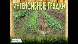 ИНТЕНСИВНЫЕ ГРЯДКИ - высокий урожай и неуклонный рост плодородия участка при низких трудозатратах