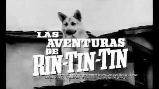 LAS AVENTURAS DE RIN TIN TIN - SERIE DE TV ( Doblaje Latino )