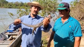 TEÍU ENGOLIU O ANZOL EO JEITO FOI SACRIFICAR O ANIMAL PARA ALIMENTO!  vida na roça.