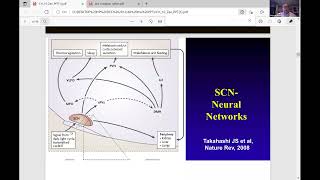 2021.11.23 - CWRU Sleep Medicine GR: Dr. Kingman Strohl - Circadian Rhythm and Sleep Medicine