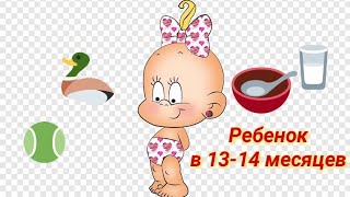 Ребёнок в 13-14 месяцев 👧