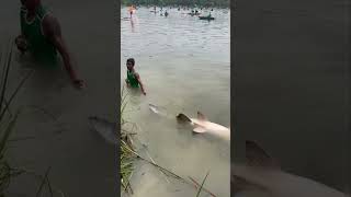 Huge River Fishing Catch Shocking Discovery