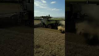 Claas Lexion 8800 harvesting wheat