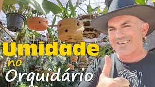 Como aumentar a UMIDADE no seu ORQUIDÁRIO #orquídeaslindas