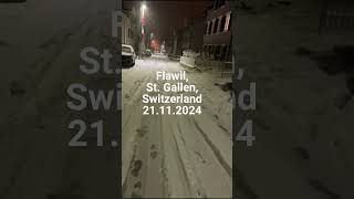 Flawil, St. Gallen, Switzerland - 21.11.2024 #snow #schneefall #winter  #schnee