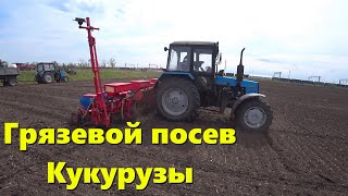 СЛОЖНЫЙ Сев Кукурузы на Кубани 2023 / Такой Посевной не припомню / Сев Между Дождей