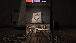 [4K] WHO ✨ LOVE THIS QURAN 😍 MASHALLAH #subscribe #trendingshort