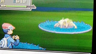 shiny nincada (platinum pokeradar shiny living dex)