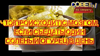 Что происходит с мозгом, если съедать один соленый огурец в день