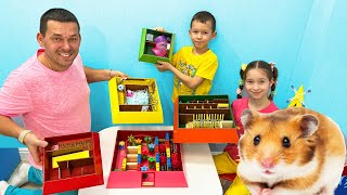 The hamster's escape from the cardboard maze with Sofia