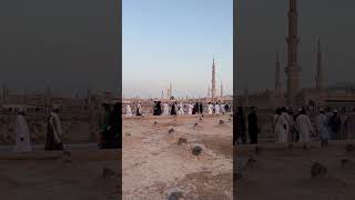 JANNAT UL BAQI 💝💫✨|#viral #trending #beautiful