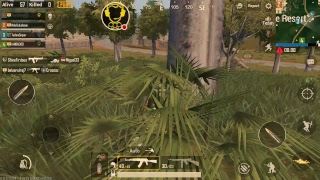 My PUBG MOBILE Stream