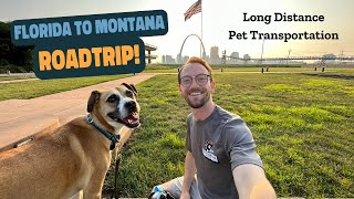 Florida to Montana ROAD TRIP! | Long Distance Pet Transportation