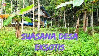 Kesibukan Pagi Hari di Desa Salawu | Suasana Pedesaan | 4K