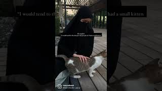 Abu huraira 🐱