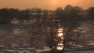 Winter an der Elbe