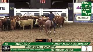 2024 NCHA AU 4CYTE OPEN FUTURITY CHAMPION COREY HOLDEN METALOO