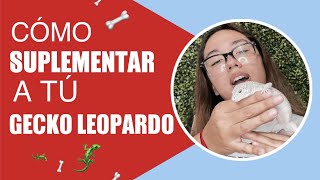 ¿Suplementación en Geckos Leopardo? | METABOLISMO de CALCIO 🦴|  Vitamina D3 🤯| Nutrición Bichera🦎