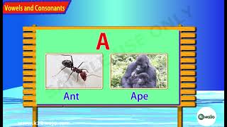 Vowels and Consonants