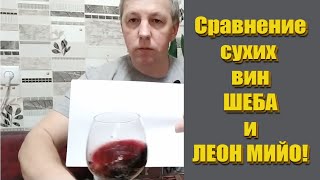 Сравнение сухих вин 2019г ЛЕОН МИЙО и ШЕБА!