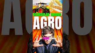 DESREGULACIÓN del #agro #argentina #mileihoy #granos