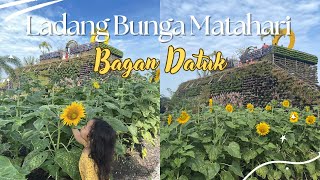 Melawat Ladang Bunga Matahari di Perak • Sunflower Garden Trip Bagan Datuk 🌻📸