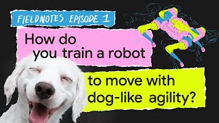 How do you train a robot to move with dog-like agility? | Field Notes