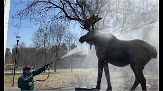 Весенняя промывка объектов в Лосинке