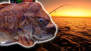 Hooked on Australian Snapper: A Fishing Adventure