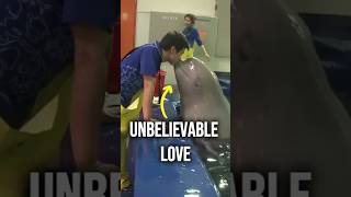 This Whale's Love Affair With Her Caretaker Is Incredible! ❤️