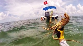 Florida Keys Lobster 2013