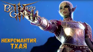 Обыск в подвале у Аптекаря — Baldur's Gate 3 #13