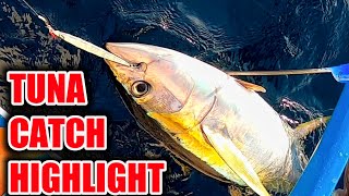 AMAZING TUNA CATCH HIGHLIGHT | MUST SEE SOLO FISHING ON SMALL DOUBLE OUTRIGGER BOAT