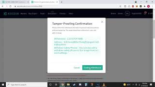 How to use Binance wallet extension  to cross chain Binance coins