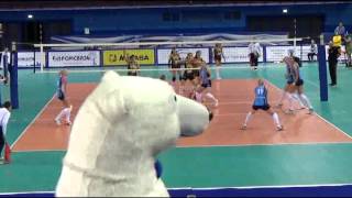 Volley Bear