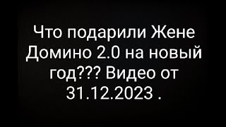 Что подарили Жене Домино 2.0 на новый год??? Видео от 31.12.2023 .