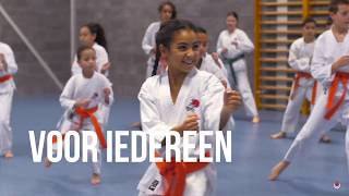 Traditionele karate in beeld gebracht