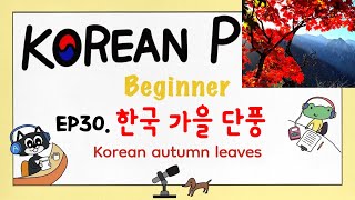 SUB) [Beginner] EP30.한글 가을 단풍. Korean autumn leaves. Korean Podcast