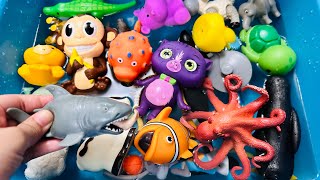 Kindergarten learning videos, educational videos for kids, Animals for kids, Sea Animals, Zoo, Farm