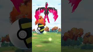 Moltres ran #pokemongo