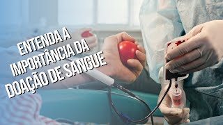 Entenda a importância da doação de sangue