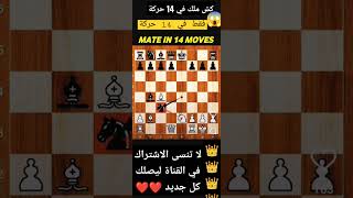 كش ملك في 14 حركة فقط #شطرنج #chess #كش_ملك