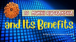 10 Mukhi Rudraksha and Its Benefits