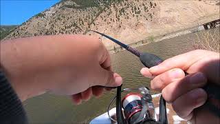 Trout Hunting In The Colorado Mountains!!