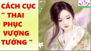 Cách cục " THAI - PHỤC - VƯỢNG - TƯỚNG * trong Tử Vi