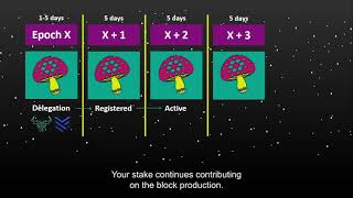 Cardano staking cycle. Rewards explained in 5-minute video. (Mushroom Version).