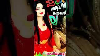 Dj Remix 2024 / Nonstop Mappila Mashup Songs / Evergreen Hits Selected Songs