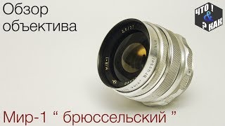 Обзор объектива Мир-1 брюссельский