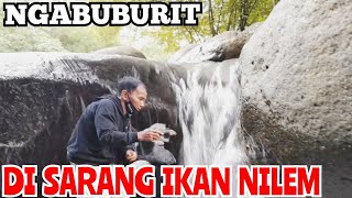 Spot Bagus Mancing ikan nilem di Majalengka! Idaman pemancing liar di sungai