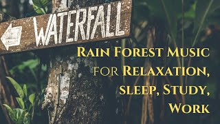 2 hours Rainforest Natural Sounds | Rain | Waterfall | Sleep | Meditation Yoga | Relaxing Work Study